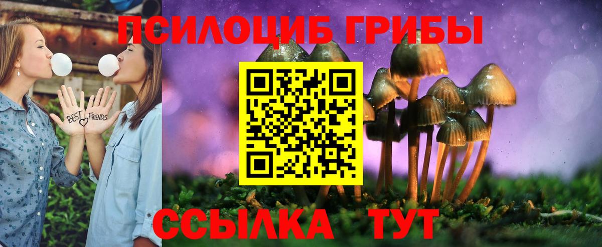 Дагестанские Огни  Псилоцибиновые грибы Psilocybe  купить наркоту  Вход с VPN  Галлюциногенные грибы мицелий 
