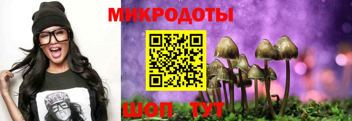 Галлюциногенные грибы Psilocybine cubensis Дагестанские Огни
